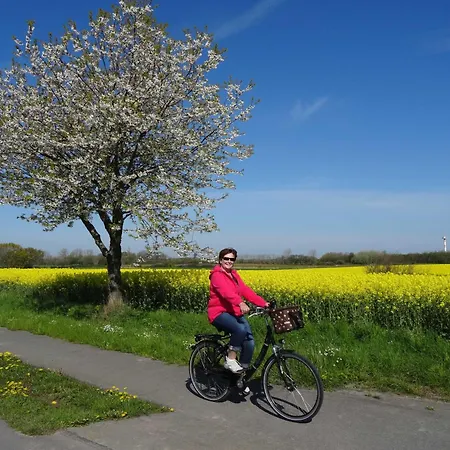 Lejlighed Am Schlossteich Braun